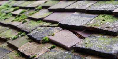 Earlswood roof repair costs